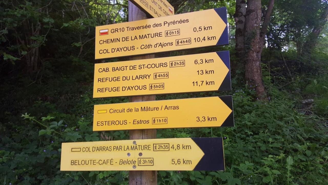 Le gite des Mousquetaires Lanne-en-Baretous Extérieur photo
