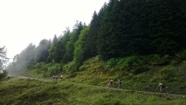 Le gite des Mousquetaires Lanne-en-Baretous Extérieur photo