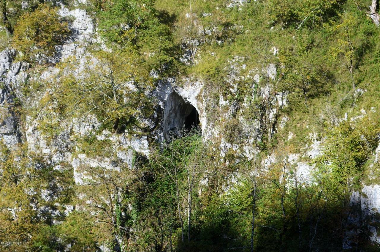 Le gite des Mousquetaires Lanne-en-Baretous Extérieur photo