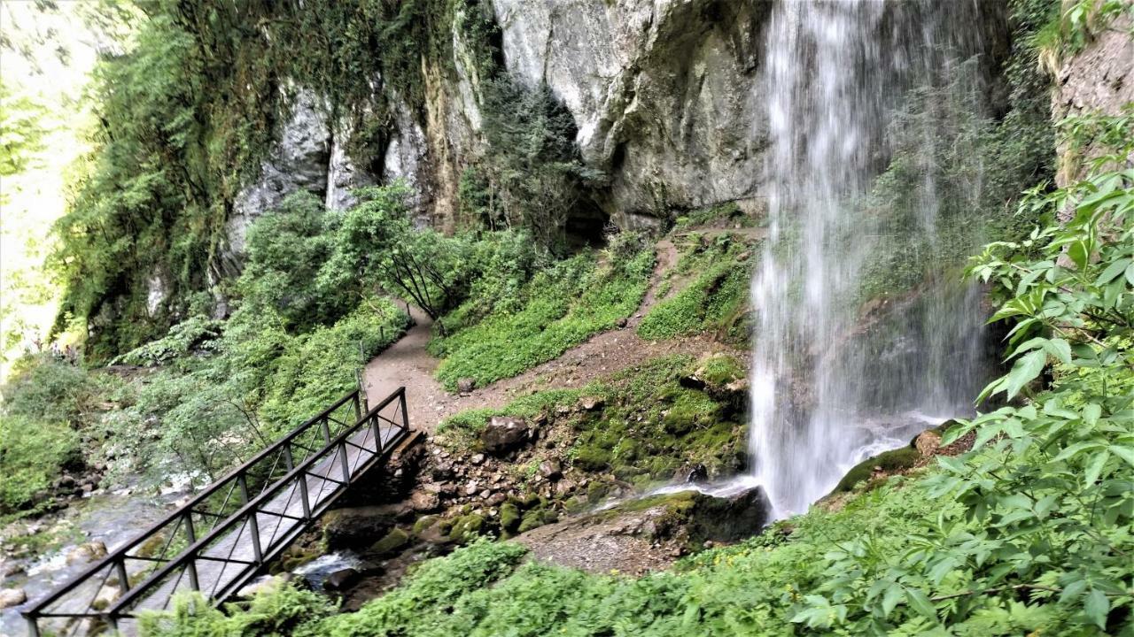 Le gite des Mousquetaires Lanne-en-Baretous Extérieur photo