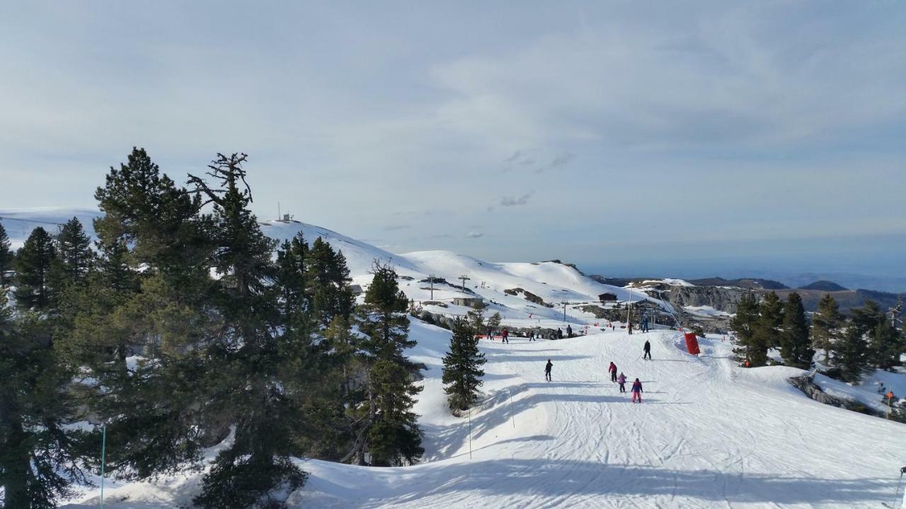Le gite des Mousquetaires Lanne-en-Baretous Extérieur photo